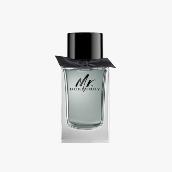 Mr Burberry EDT